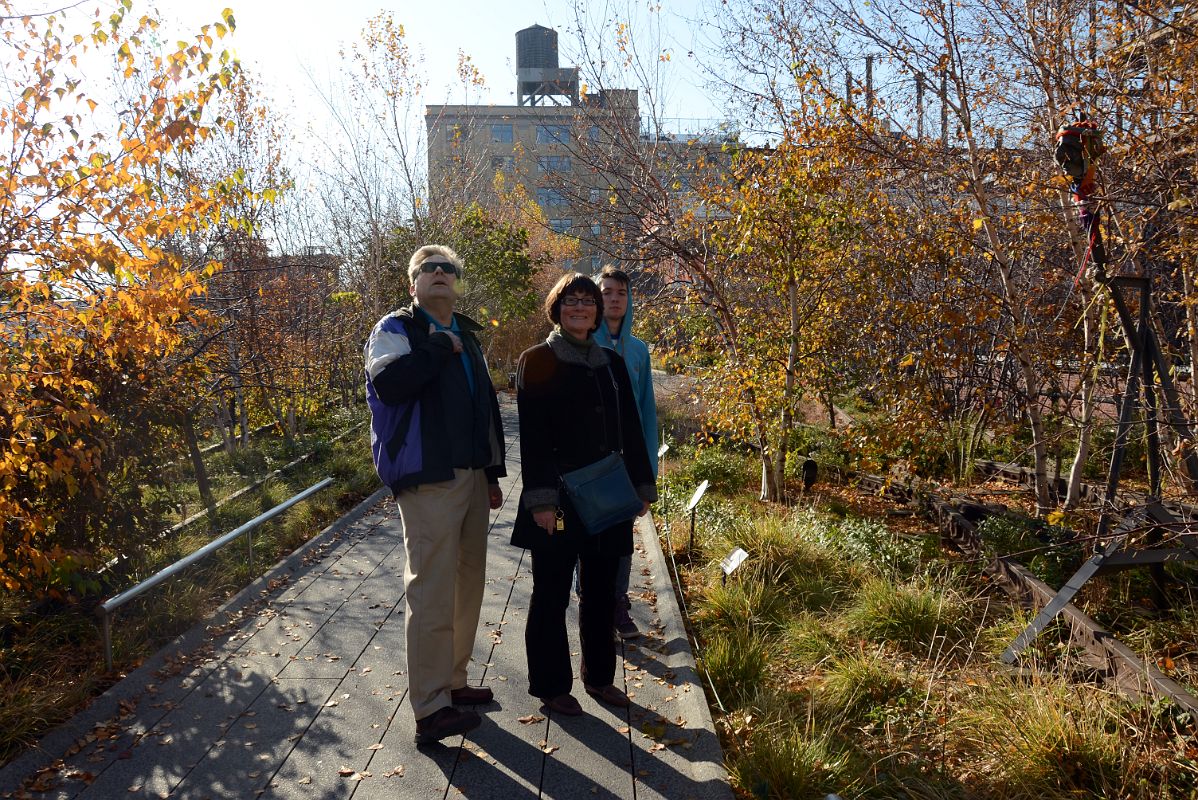 02-2 Martin Morris, Charlotte Ryan, Peter Ryan Admire Alessandro Pessoli Old Singer with Blossoms Sculpture Up On New York High Line